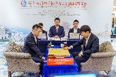 ʮ조Ǿڶ
